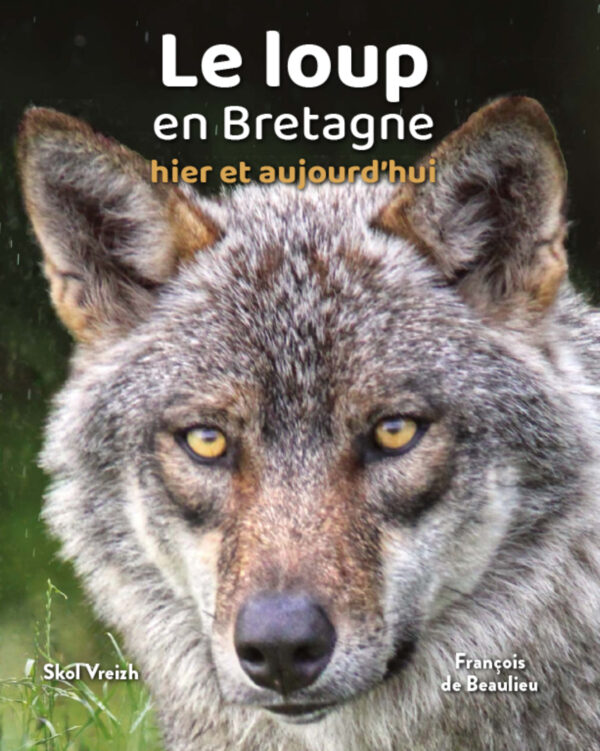 Le loup en Bretagne, hier et aujourd'hui